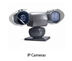 IP Cameras Pic
